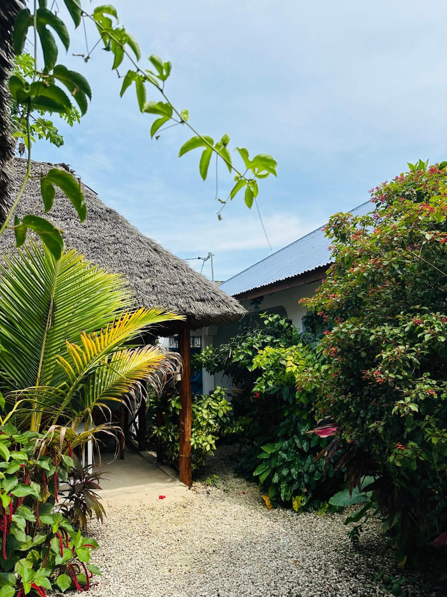 Lighthouse Guesthouse Nungwi Exterior photo